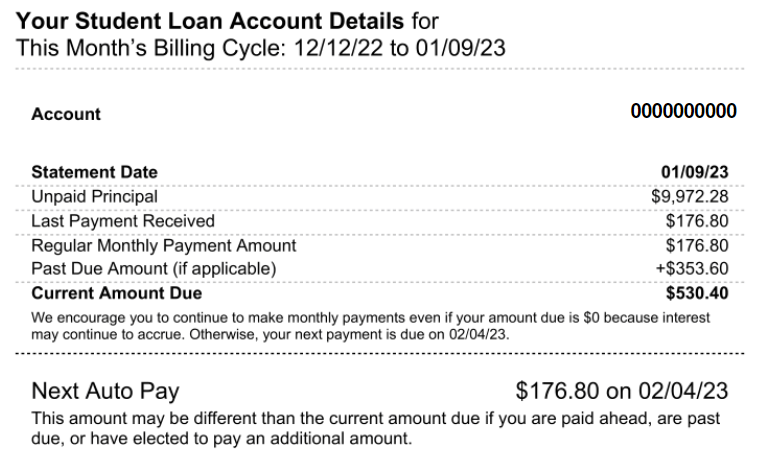 Loan Account Details